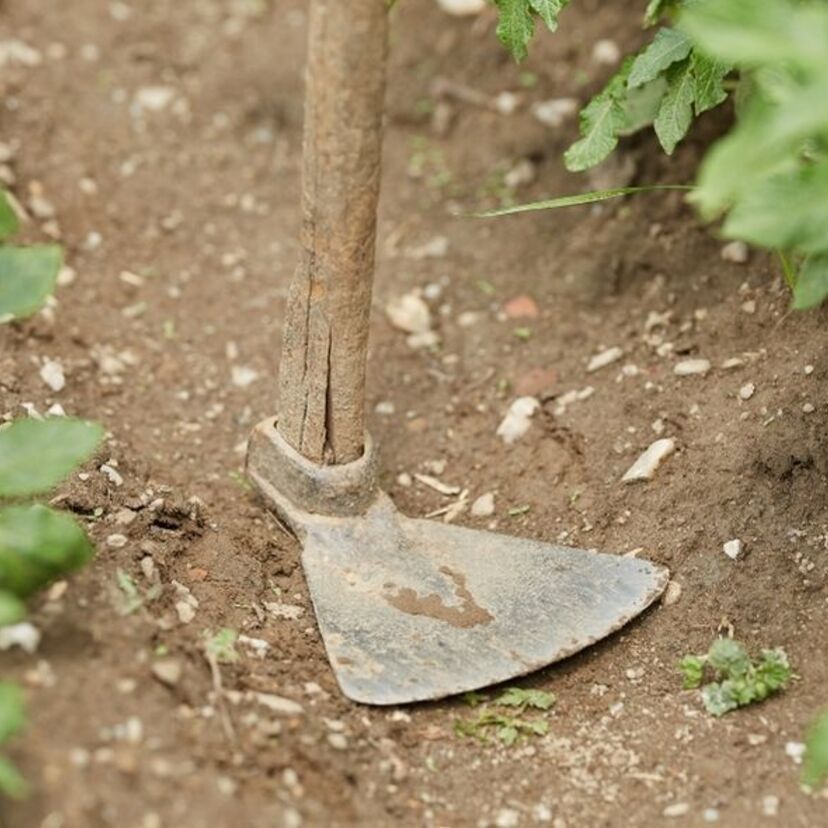 Sonhar com enxada: para plantar, capinar, jardim, nova, velha e mais!