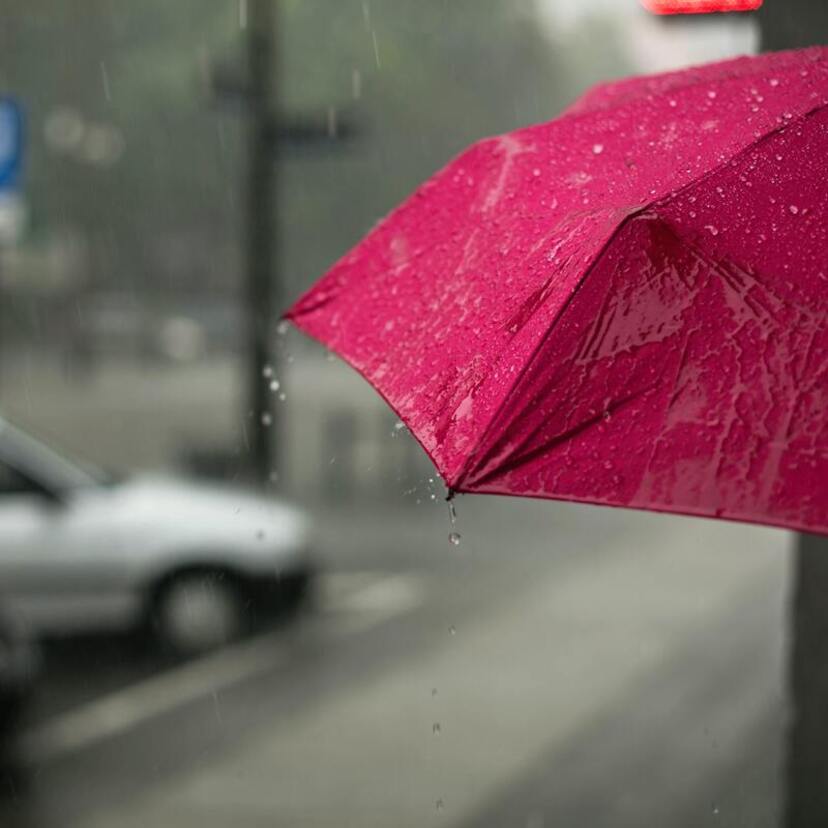 Sonhar com chuva forte: passageira, água fina ou grossa, raio e mais!