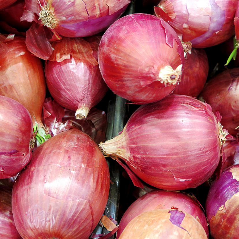 Sonhar com cebola: comendo, descascando, chorando e mais!