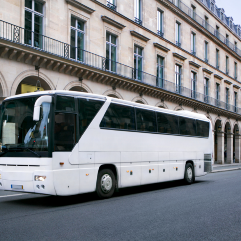 Sonhar com viagem de ônibus: sozinho, em casal, família, amigos e mais!