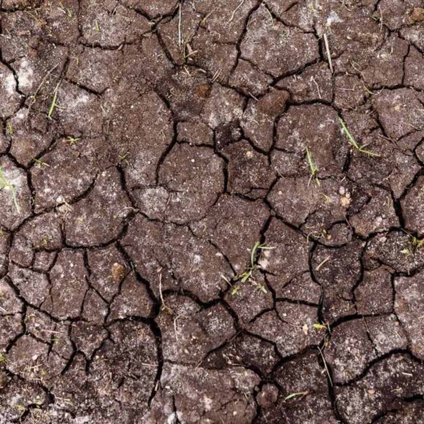 O que significa sonhar com terra preta? De cemitério, no vaso e mais!