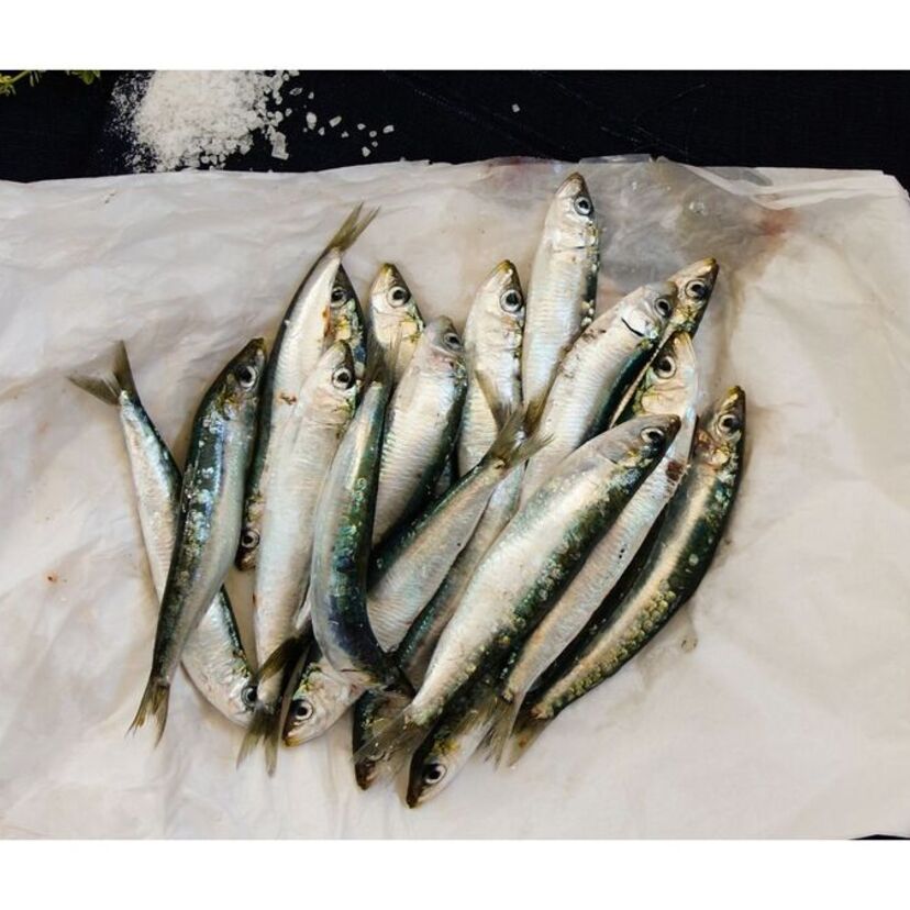 O que significa sonhar sardinha: em lata, nadando, podre e mais!