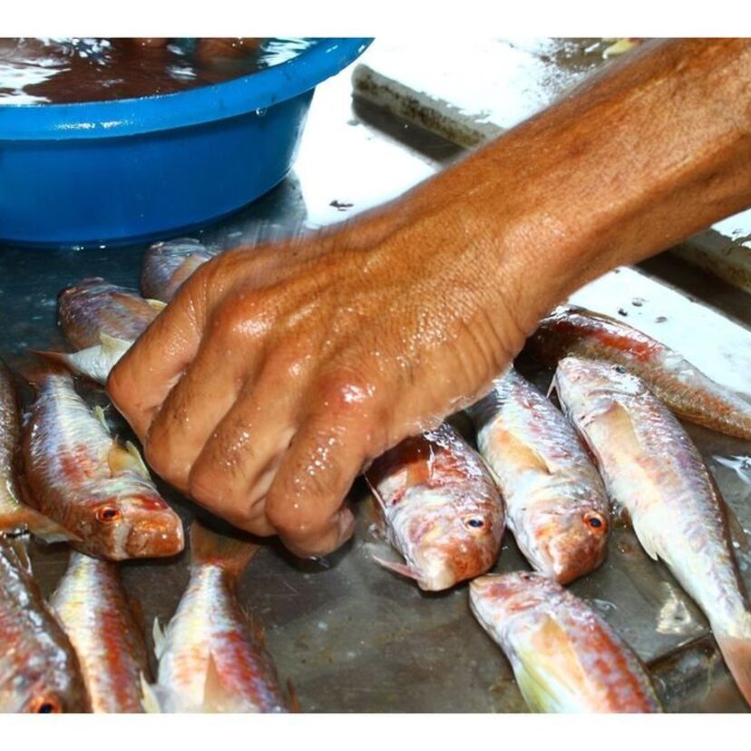 Sonhar que está limpando peixe: grande, pequeno, fresco, podre e mais!