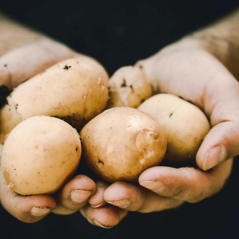 Simpatia da batata: Para separar casal, para o amado procurar e mais! 