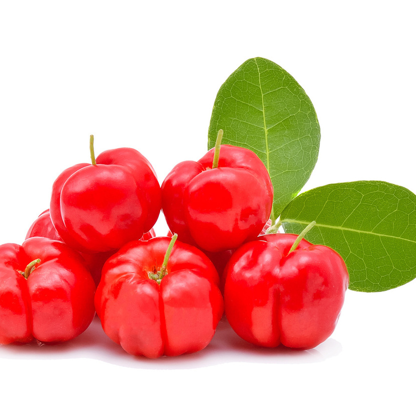 Sonhar com acerola: Vermelha, no pé carregado, o suco da acerola e mais!