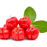 Sonhar com acerola: Vermelha, no pé carregado, o suco da acerola e mais!