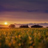 Sonhar com sítio: desconhecido, bonito, abandonado, fazenda e mais!