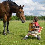 Sonhar com cavalo manso: Preto, marrom, branco, cinza e mais!