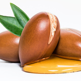 Óleo de argan: benefícios, como usar na pele, cabelo e mais!