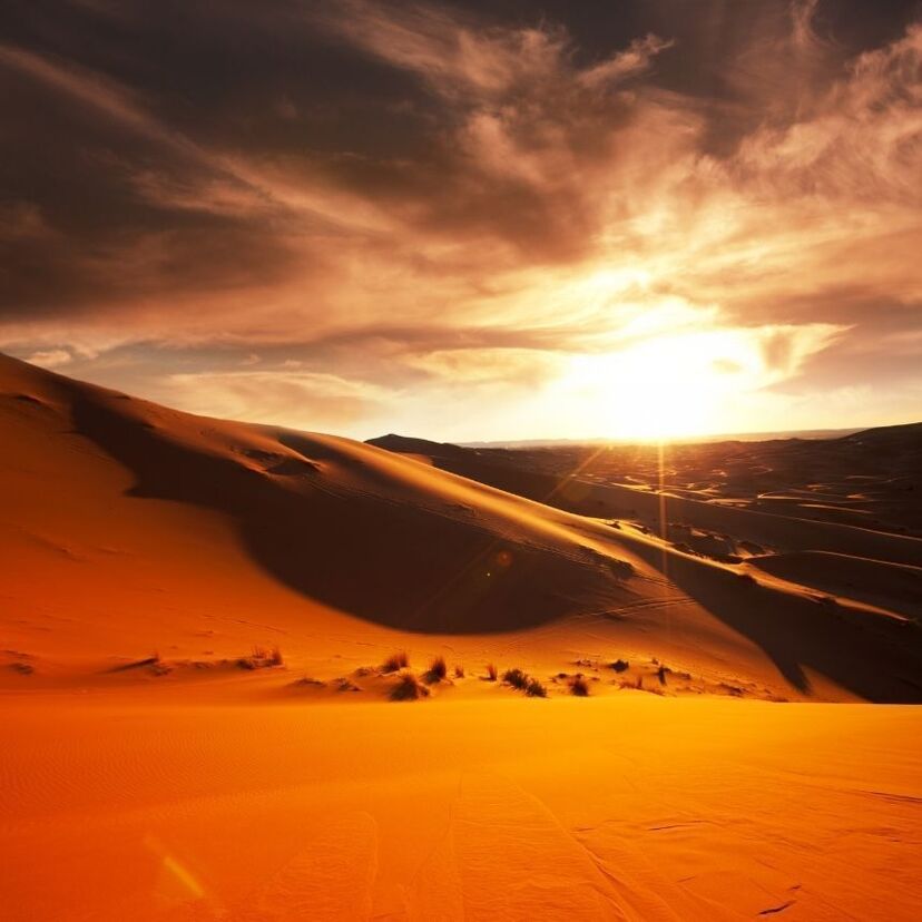 O que significa sonhar com deserto: que atravessa, se perde e mais!