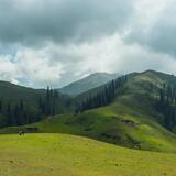 Sonhar com morro: de barro, terra, pedra, neve, cair, escalar e mais! 