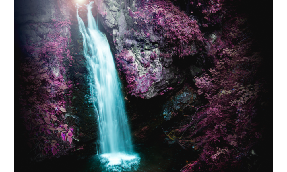 Floresta com cachoeira encantada.