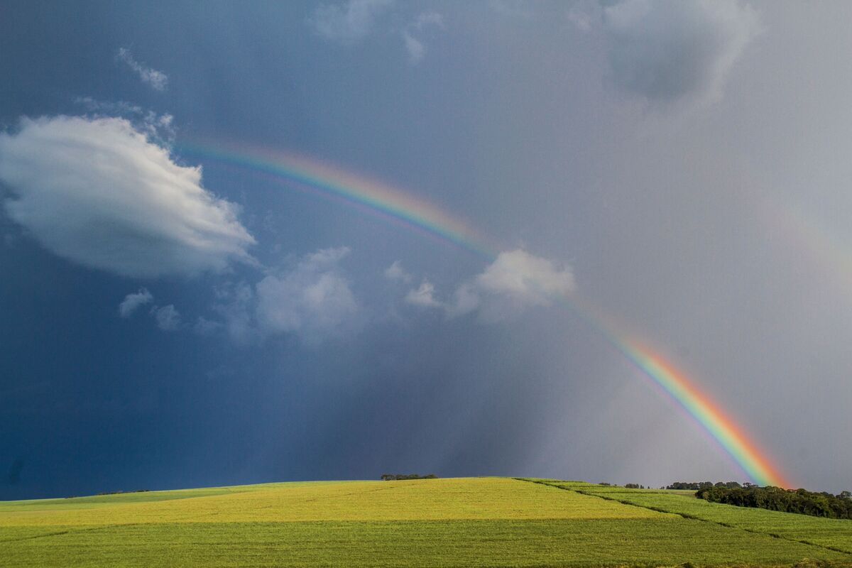 Arco-íris sobre campos verdes.