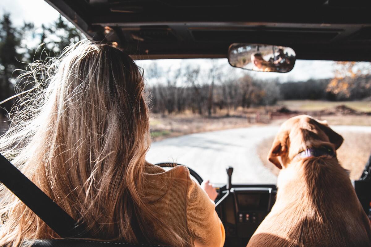 Mulher dirigindo carro com um cachorro ao lado.