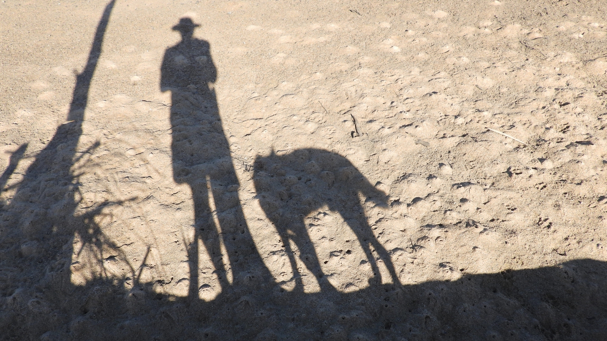 Sombra de um homem e um cachorro.