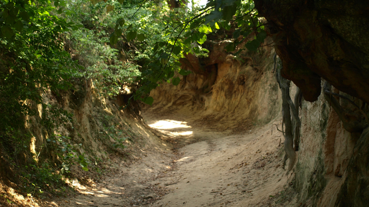 Barranco. 