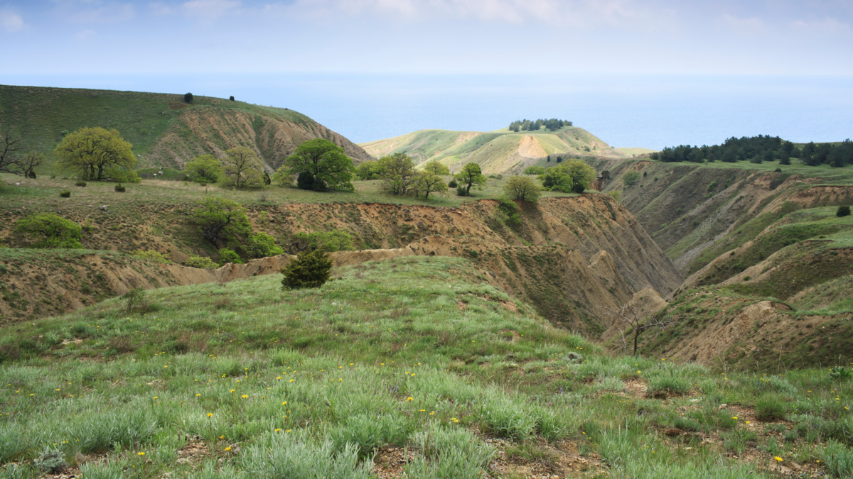 Barranco. 