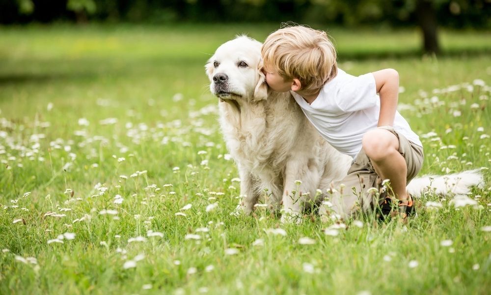 criança com cachorro