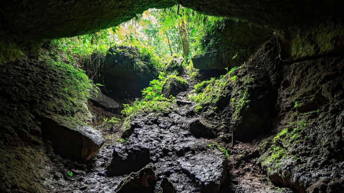 Caverna no meio do mato.