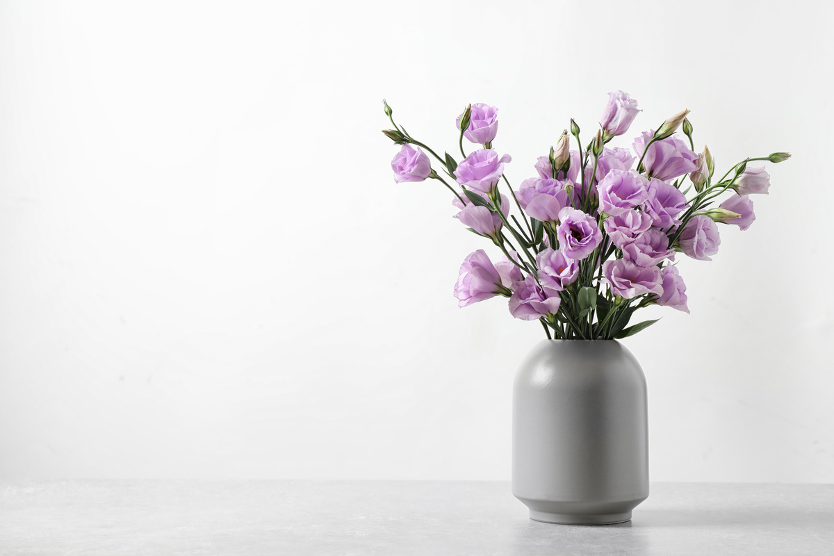 Vaso com flores lilás em fundo branco