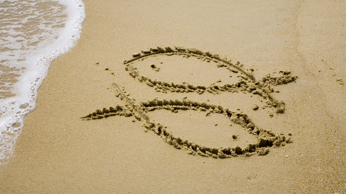 Símbolo de peixes desenhado na areia da praia.