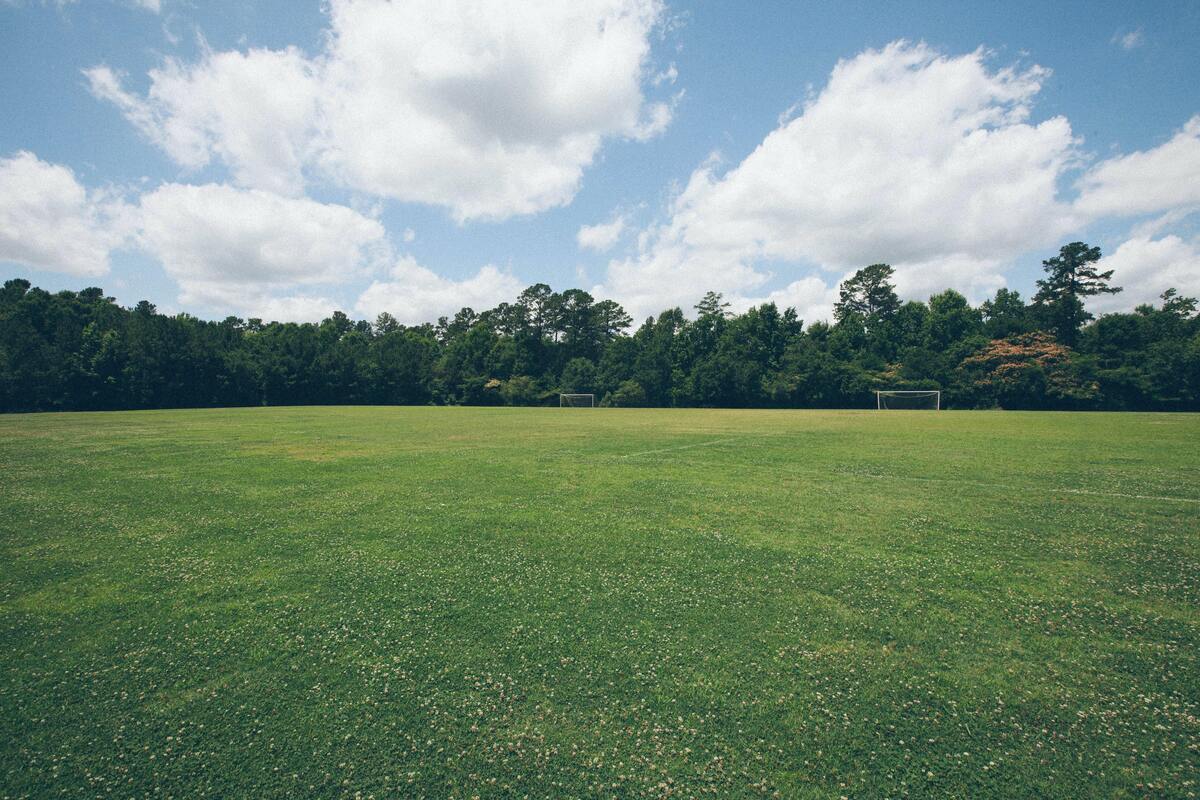 Campo gramado.