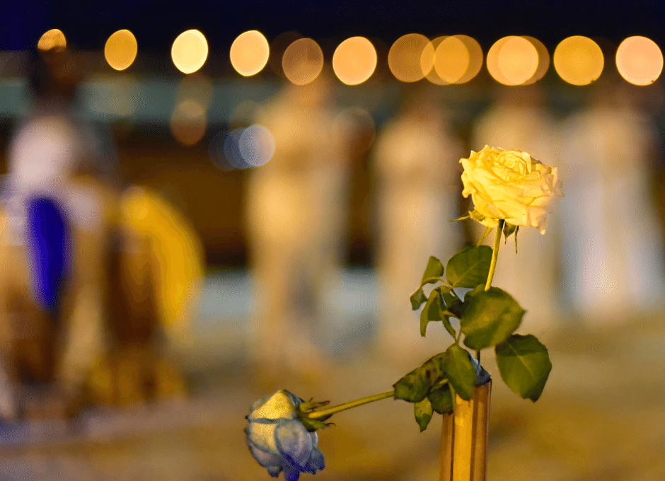 Rosas branca e roxa iluminadas com luz artificial