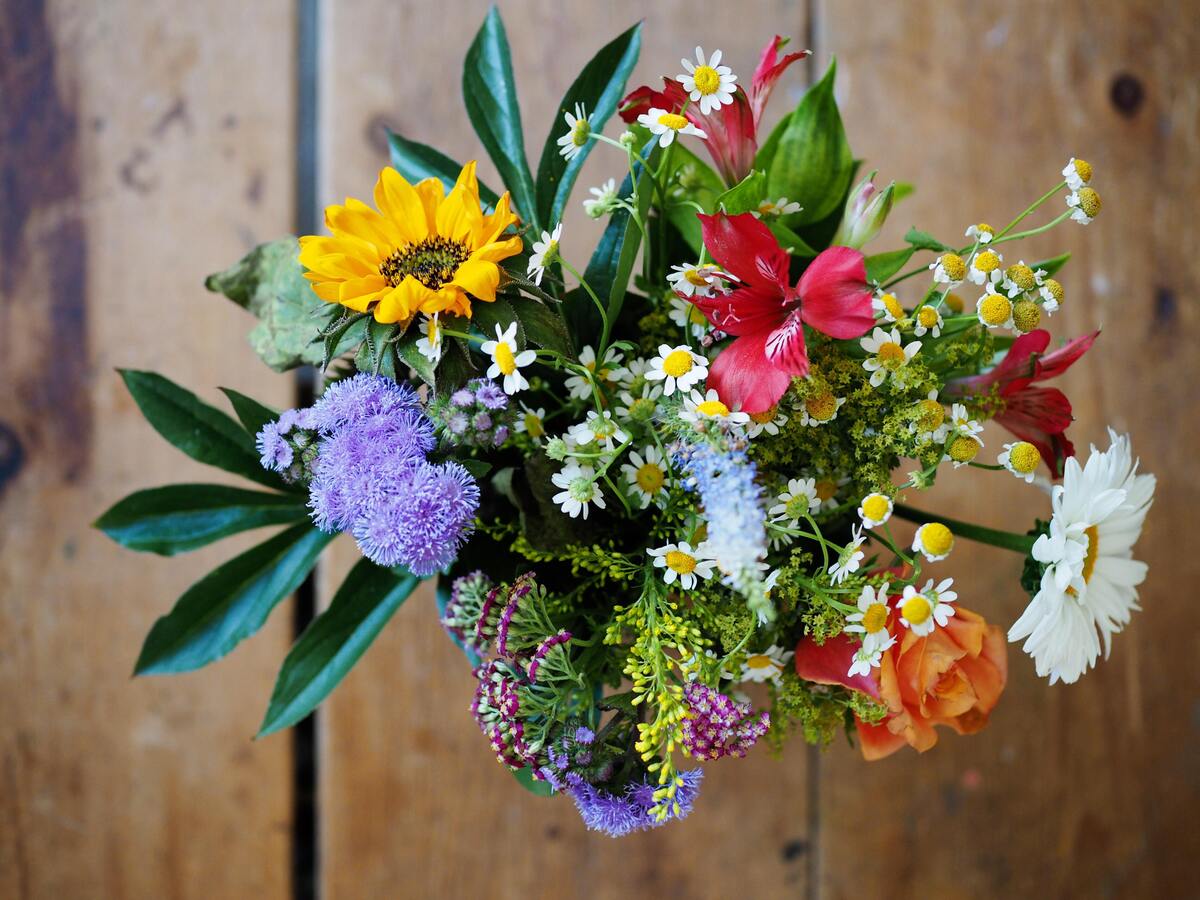 Buquê de vários tipos de flores.