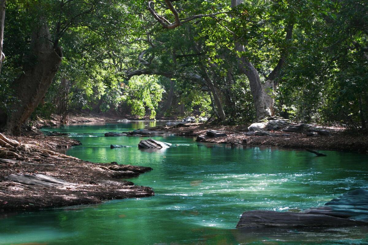 Rio de águas verdes