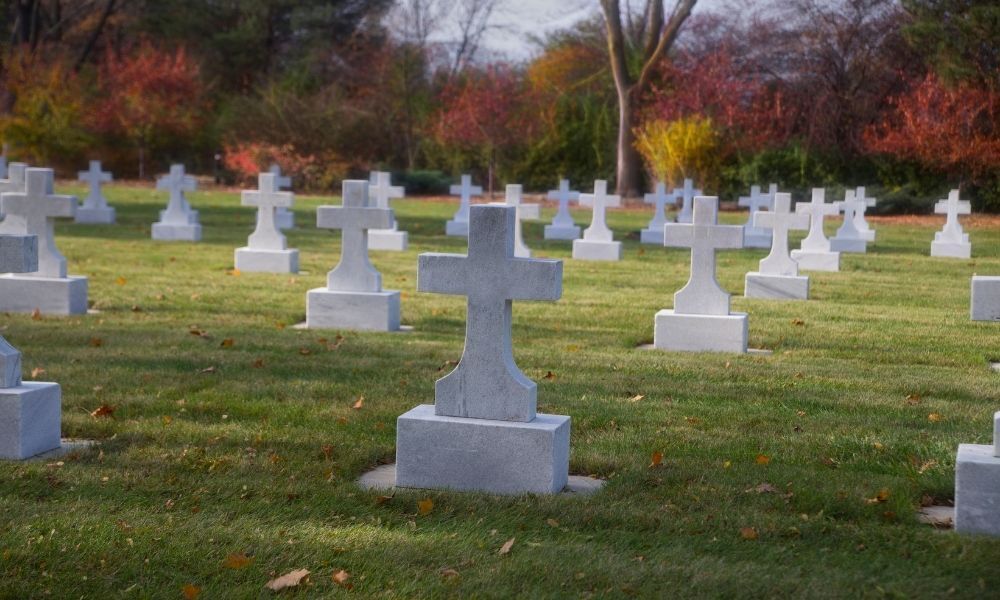 Vida após a morte