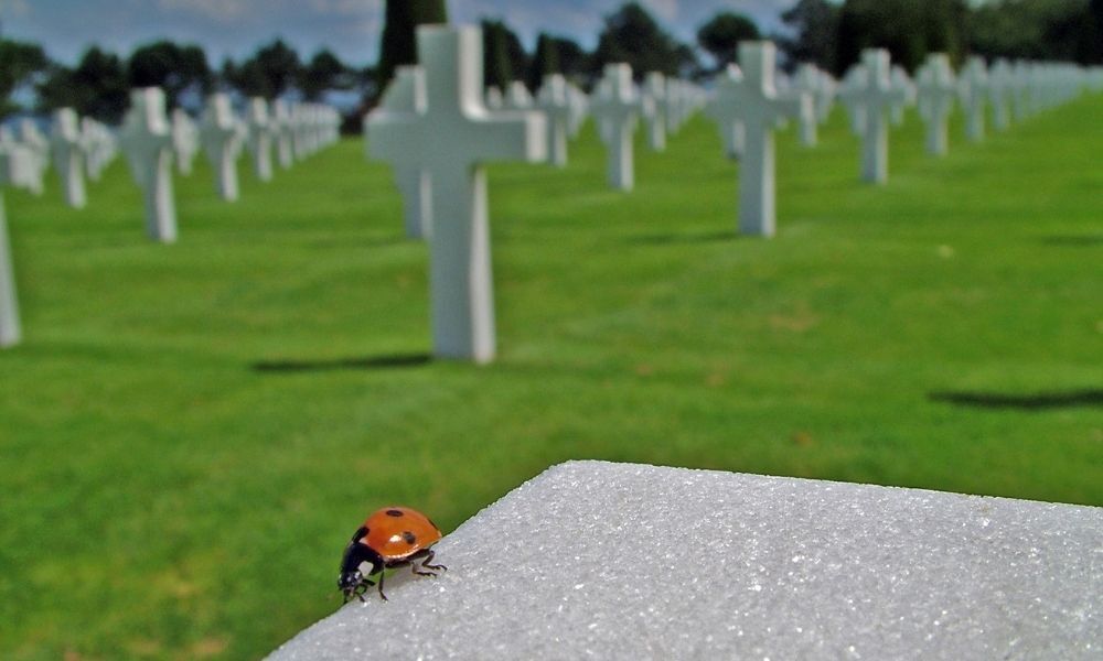 Vida após a morte