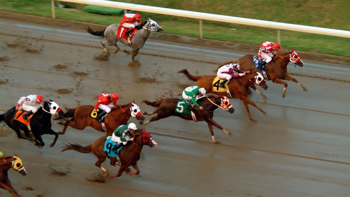 Corrida de cavalo.