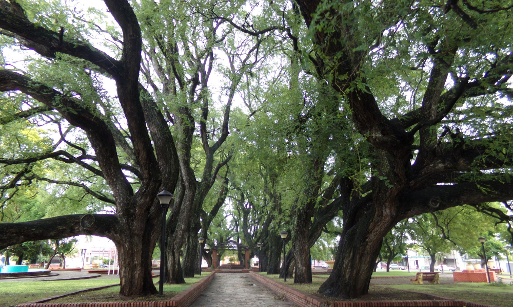 praça