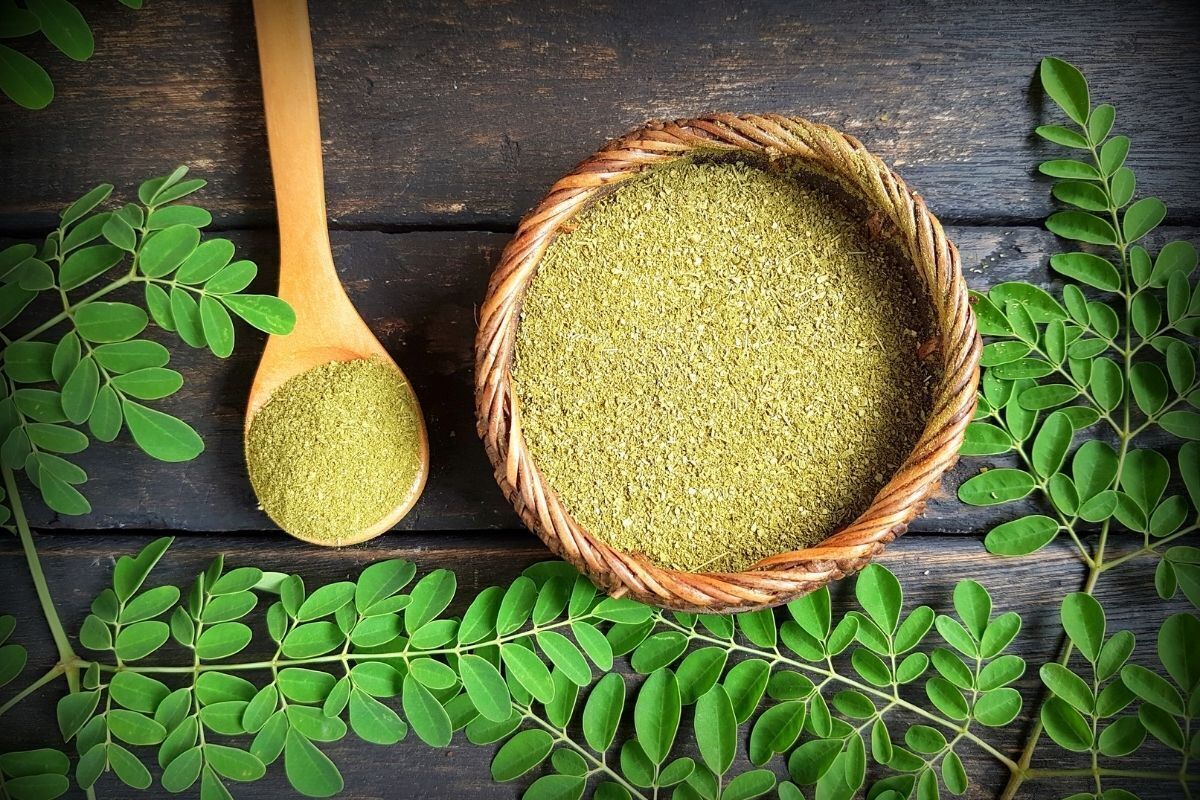 Moringa em pó.