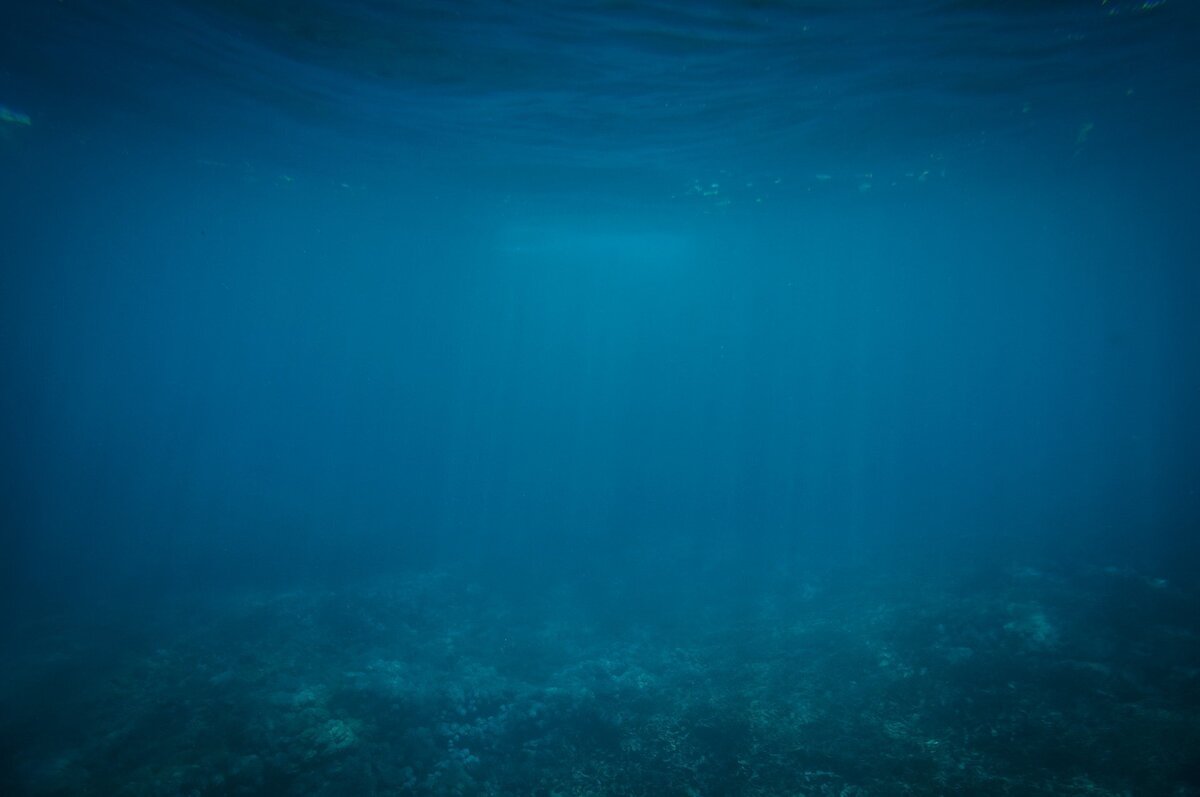 As profundezas do mar e sua cor azul-escuro.