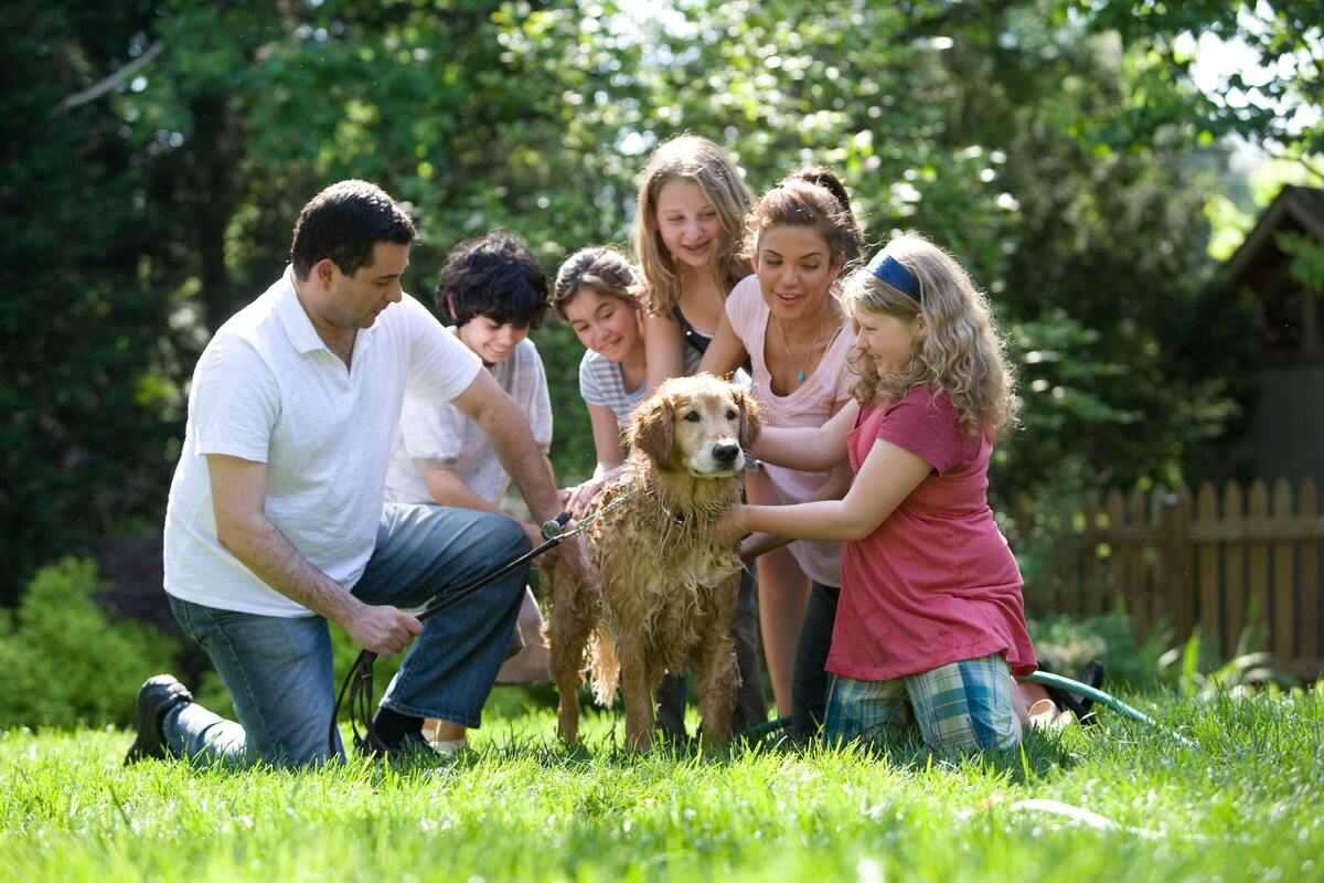 Família dando banho em um cachorro.