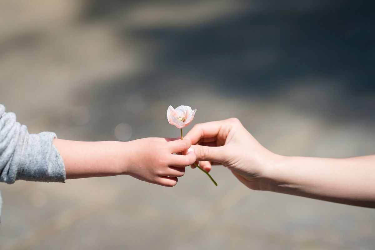 Mãos unidas segurando uma flor