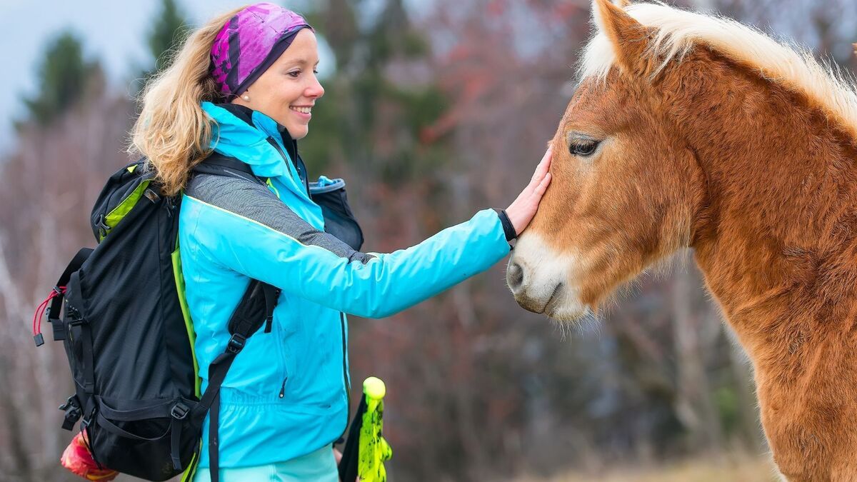 Cavalo manso com uma mulher.