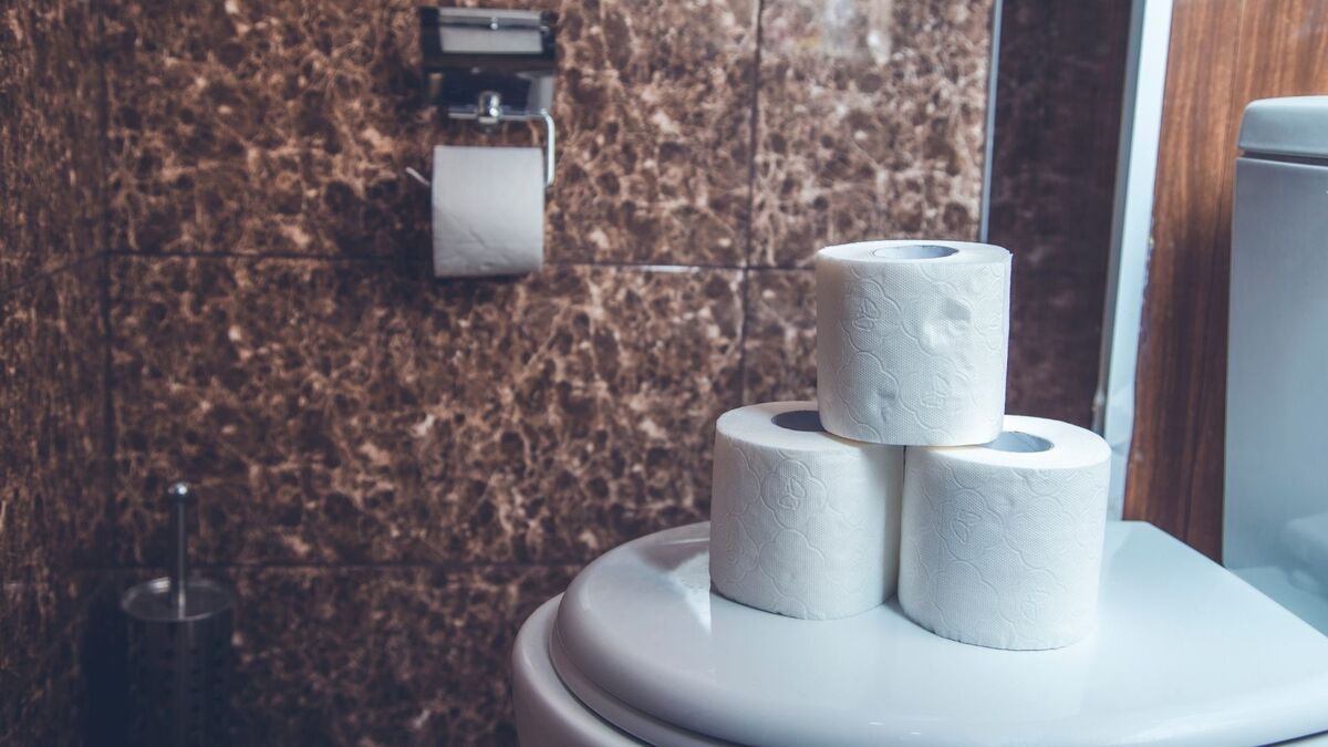 Vaso sanitário com papel higiênico em cima.