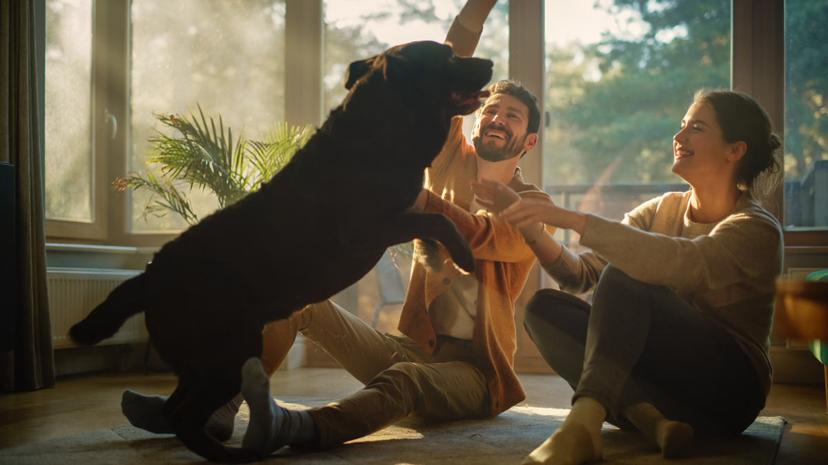 Jovens brincando com cachorro na sala