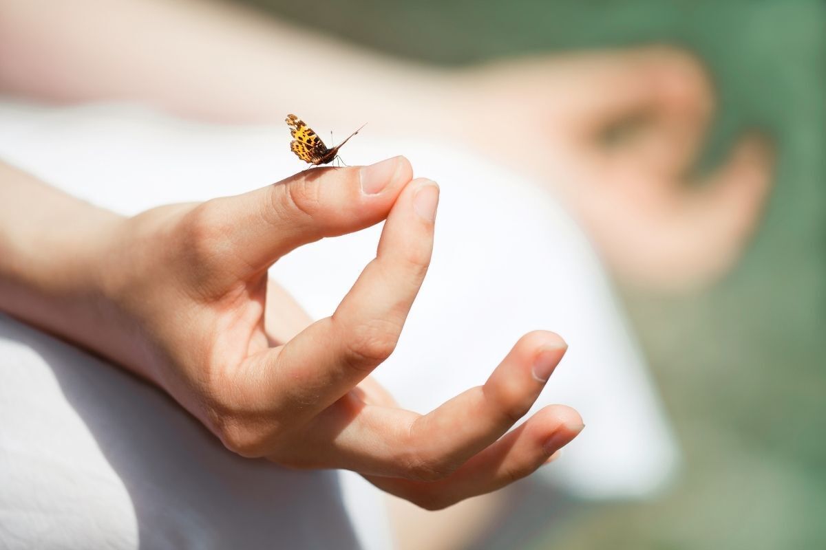 Borboleta pousa nas mãos de uma pessoa meditando