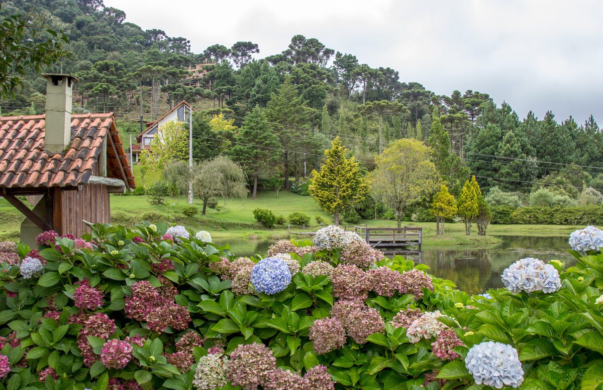 Flores e lago em uma chácara