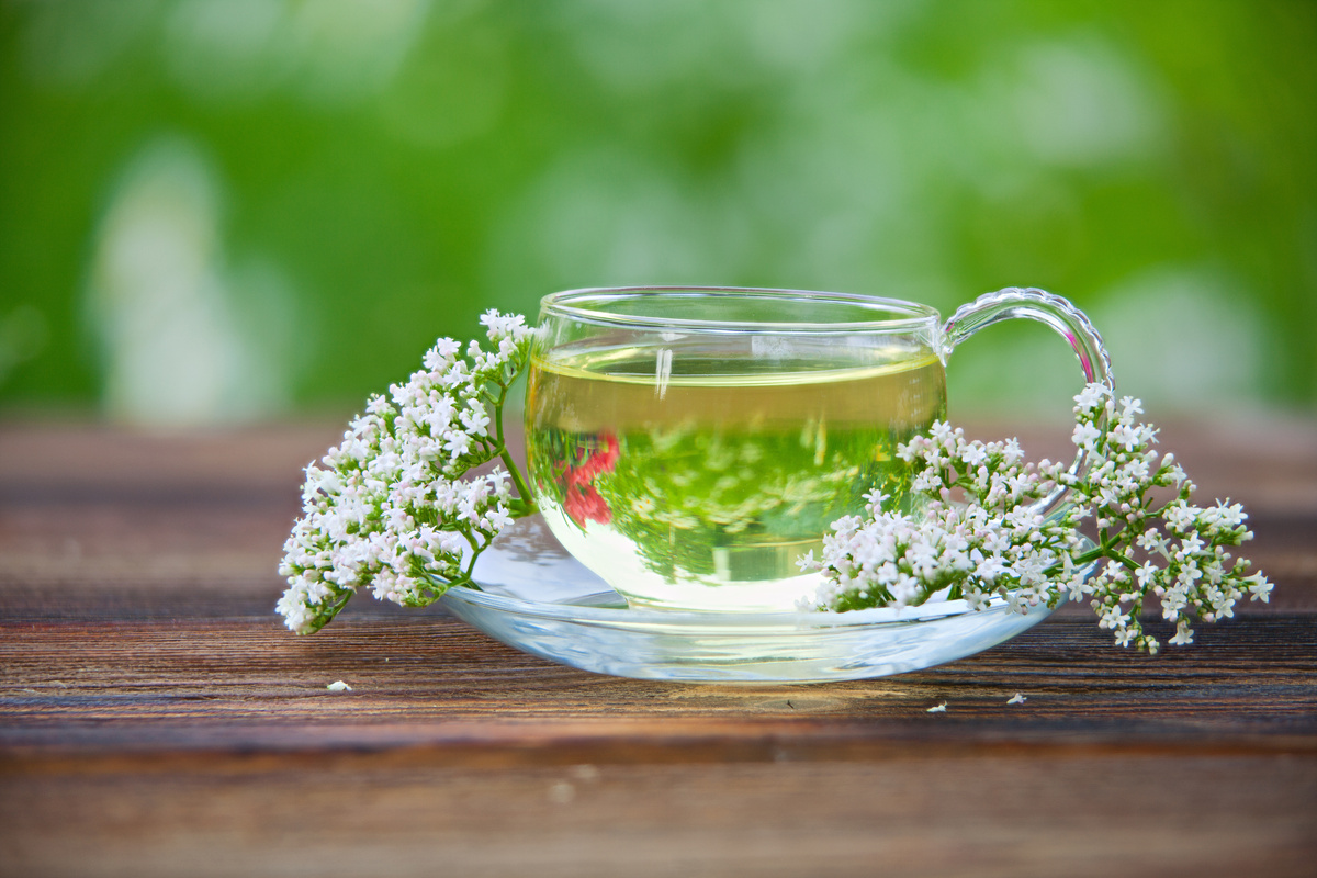 chá de valeriana em uma xícara.