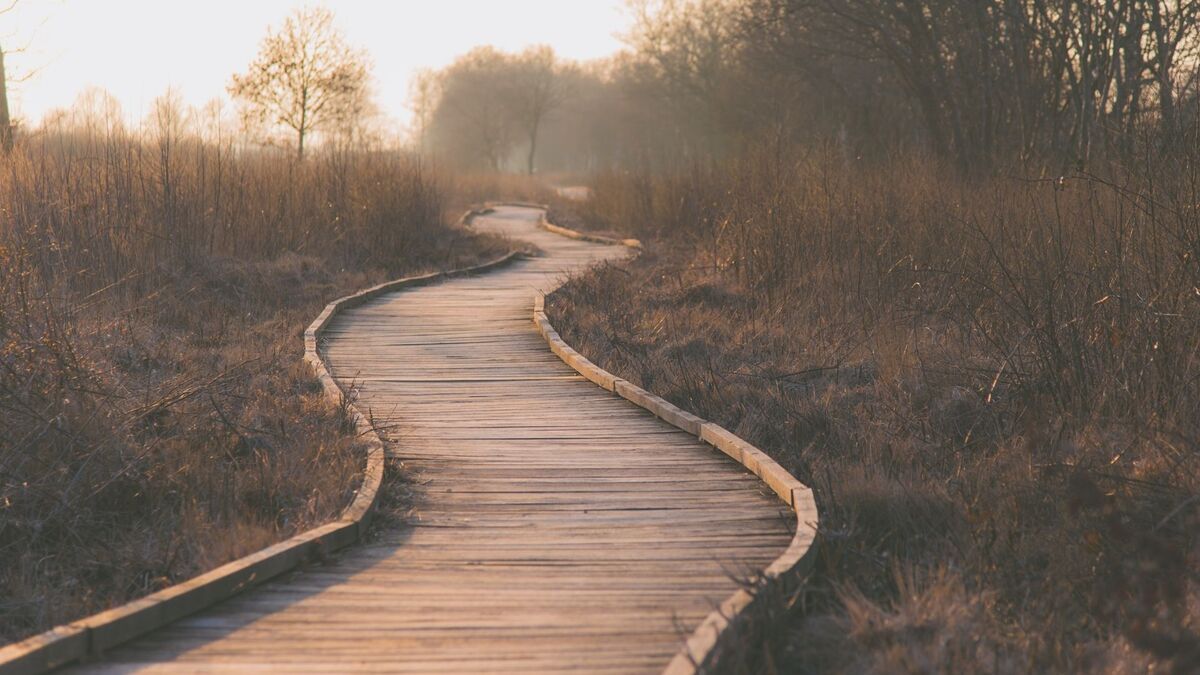 Caminho.