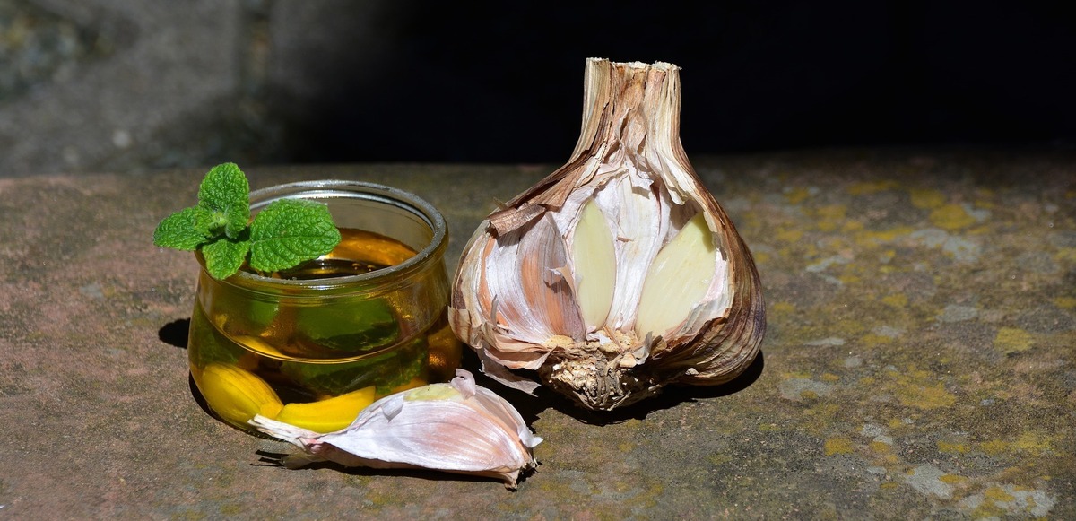 Cabeça de alho descascada pela metade, ao lado de óleo de ervas e de dente de alho.