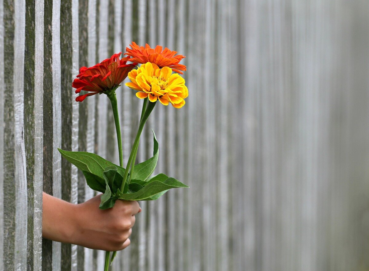 Mão passando buquê de flores através de grade.