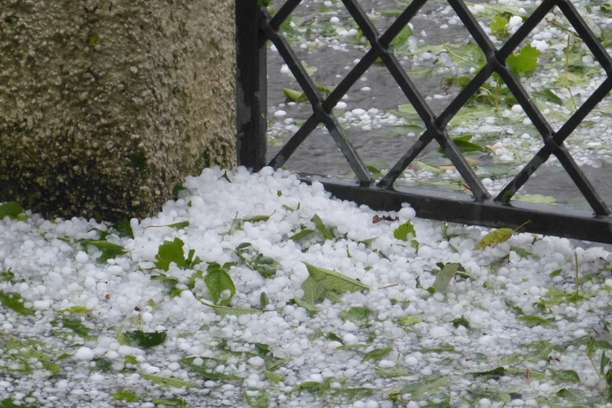 Granizos caídos no chão.