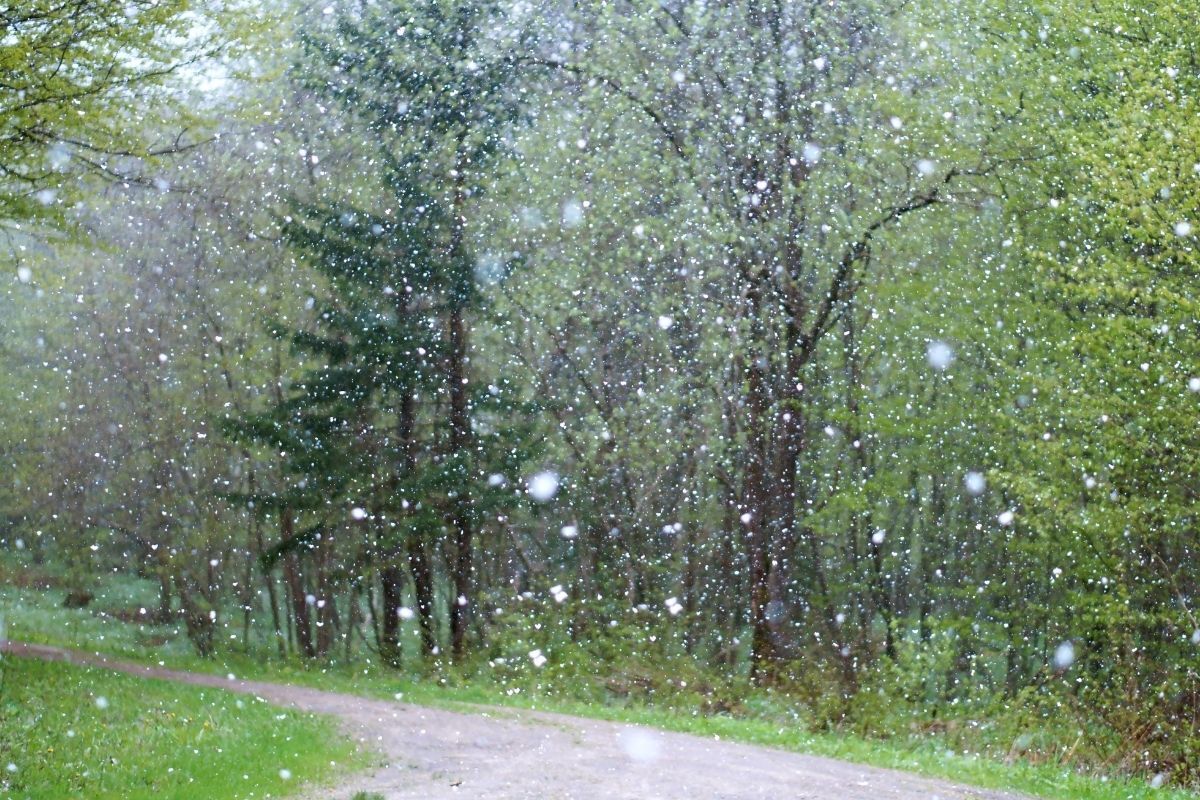 Chuva de granizo.