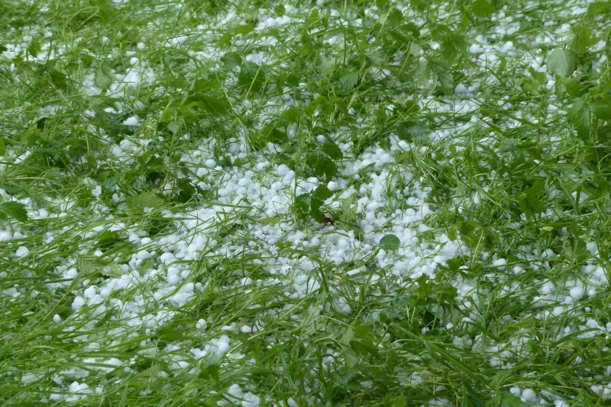 Granizos espalhados pelo chão.