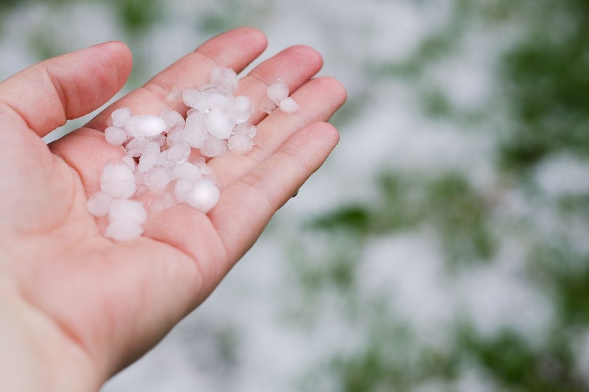 Mãos cheias de granizo.